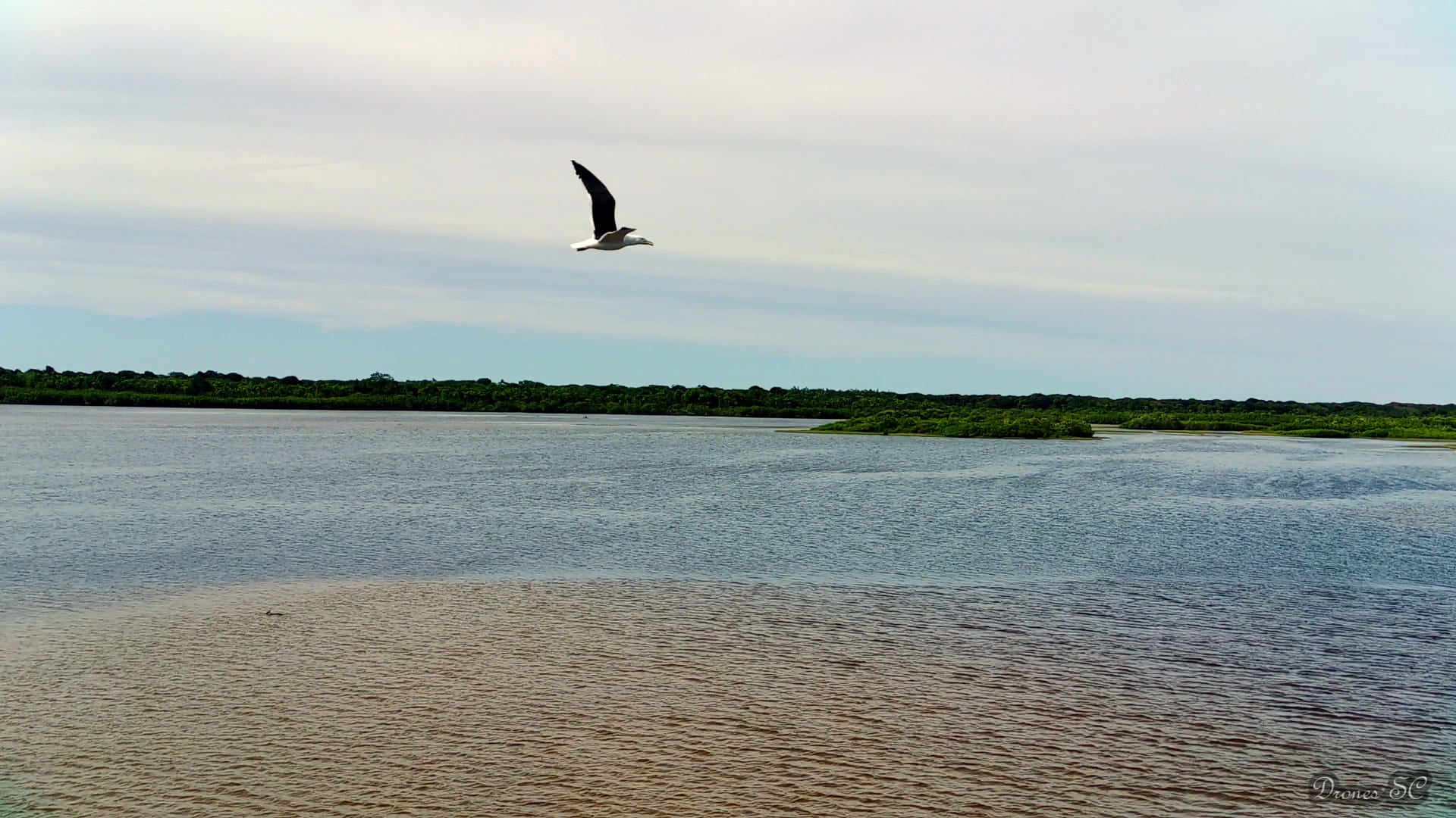 Essential Drone Travel Tips: Everything You Need to Know