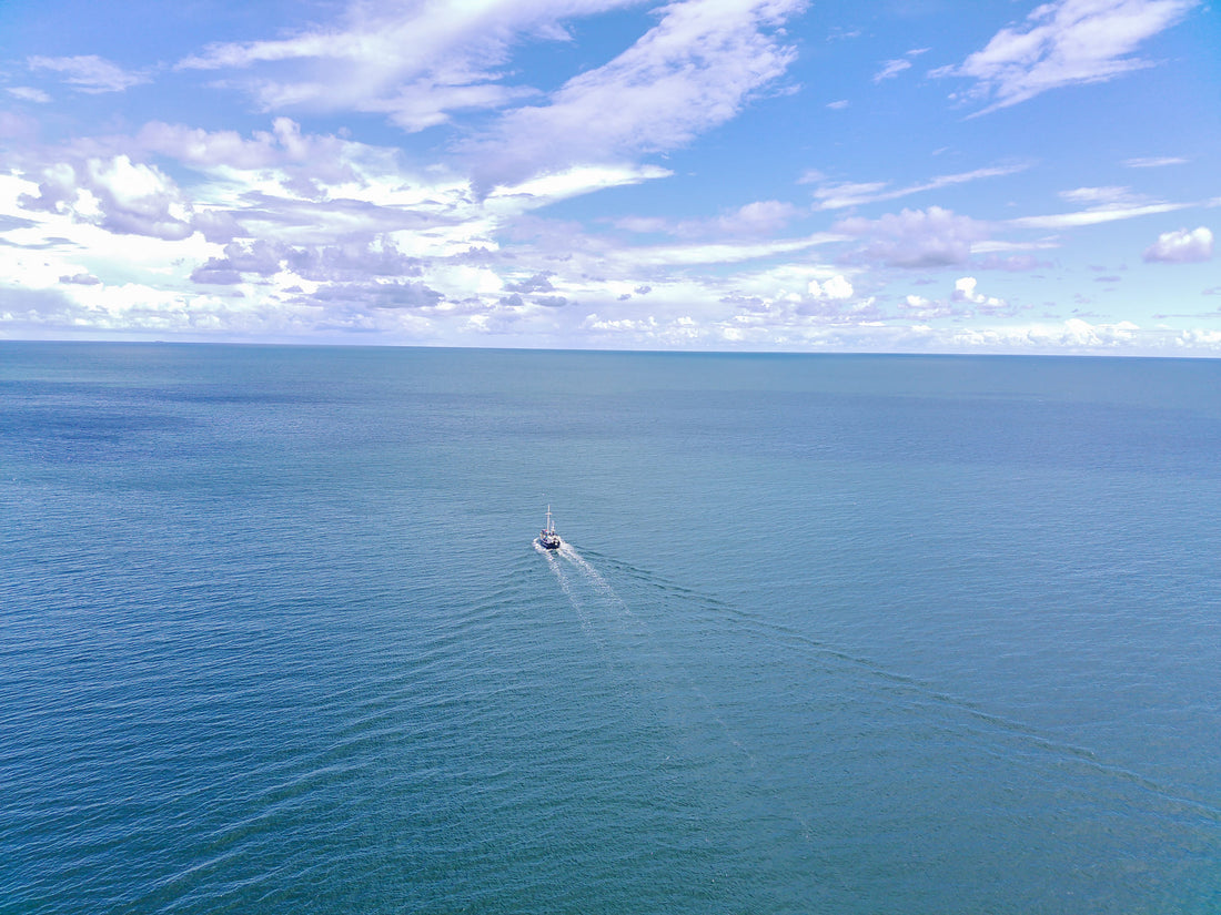 Fall in Love with Drone Photography